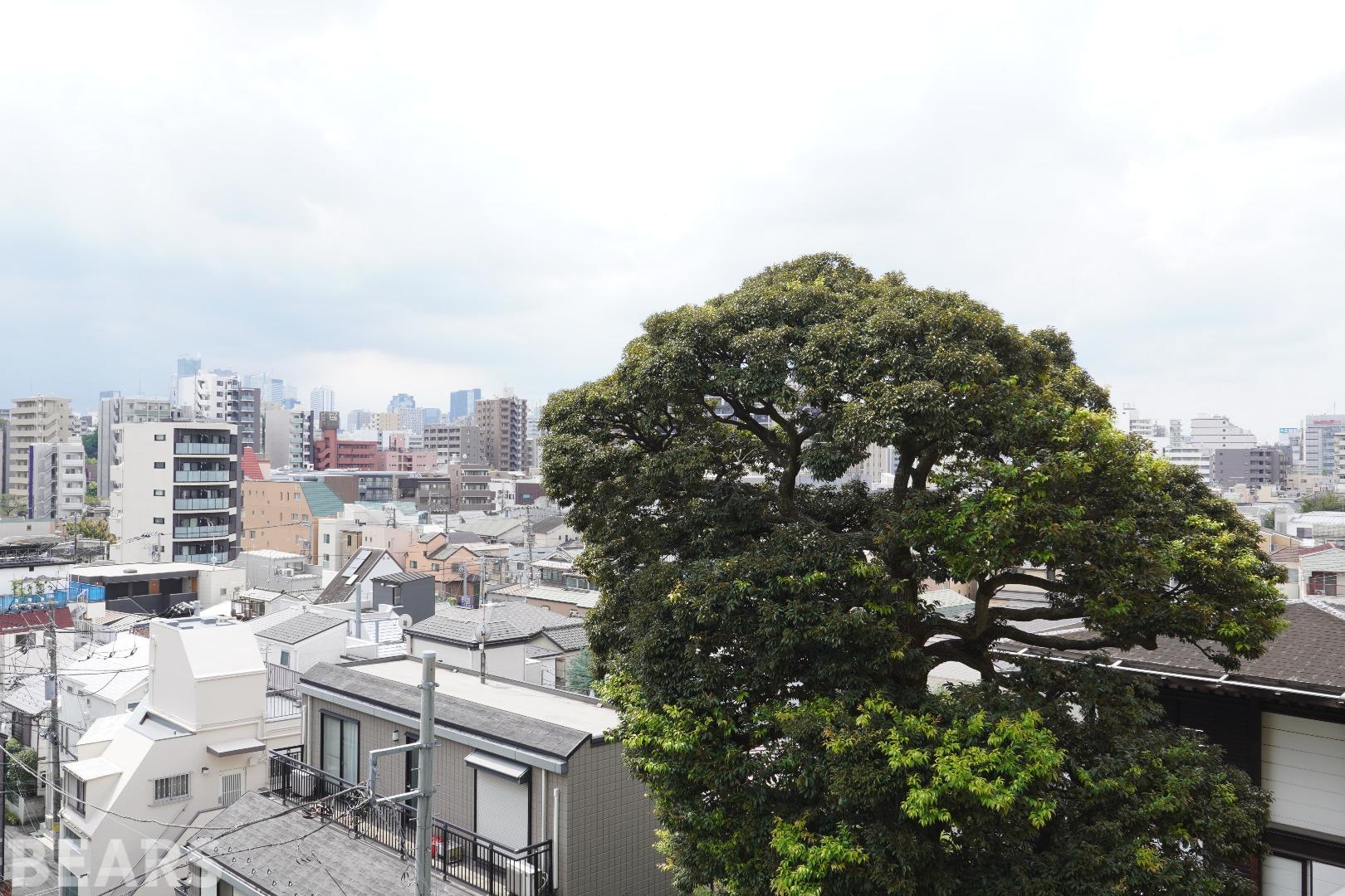 フェアロージュ目白台一丁目静凛館の物件画像19